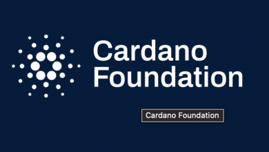 blockchain news cardano foundation activity, X account, report, false token and SEC lawsuit claims